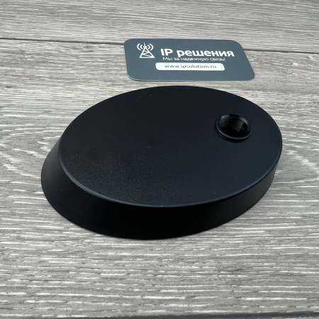 AVerMedia AM310, USB микрофон